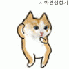 시바견_고양이.gif