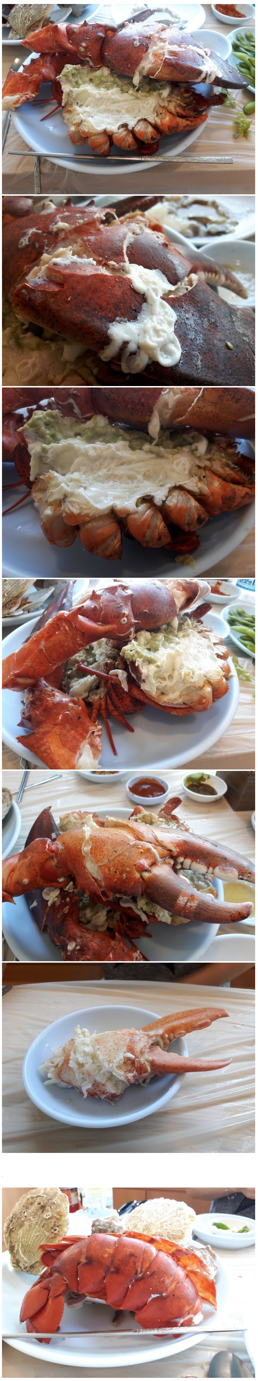 naver_com_20170605_105805.jpg