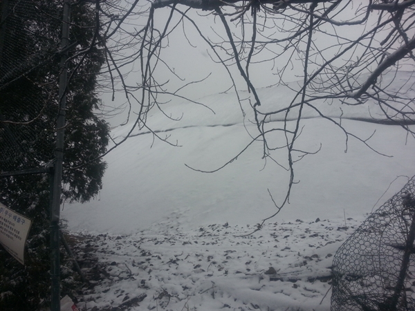 20141201_124031.jpg