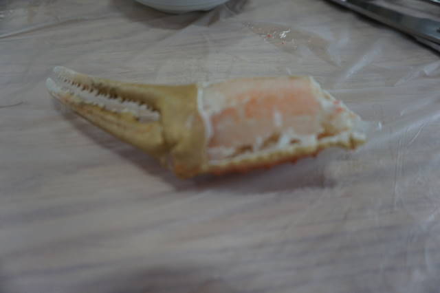 DSC04170.JPG