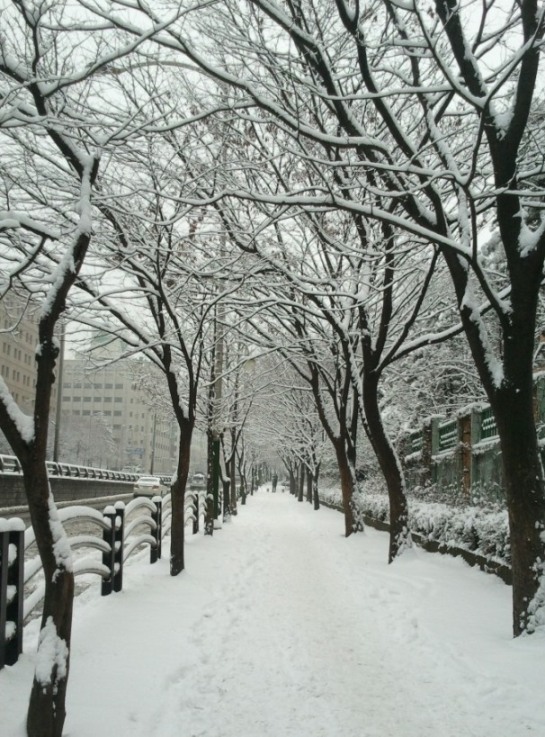 2010-12-28 09.01.33.jpg