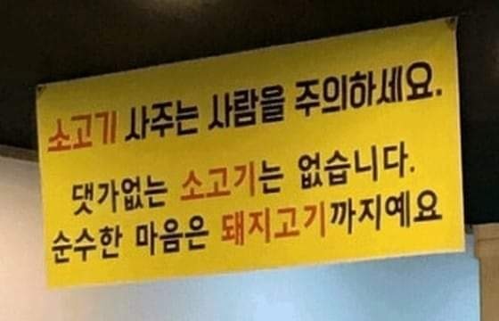 소_돼지.jpg