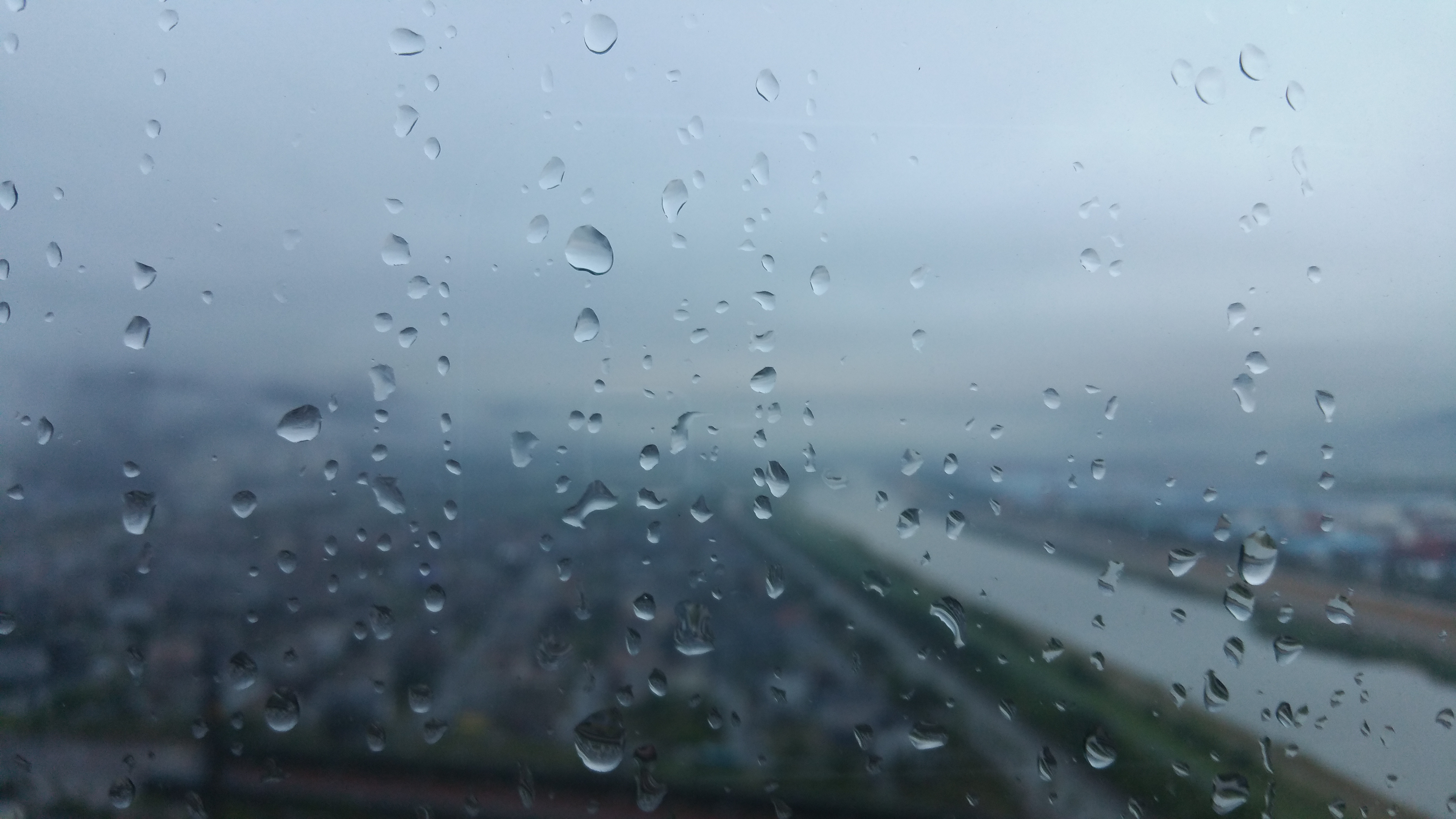 20150626_060251.jpg