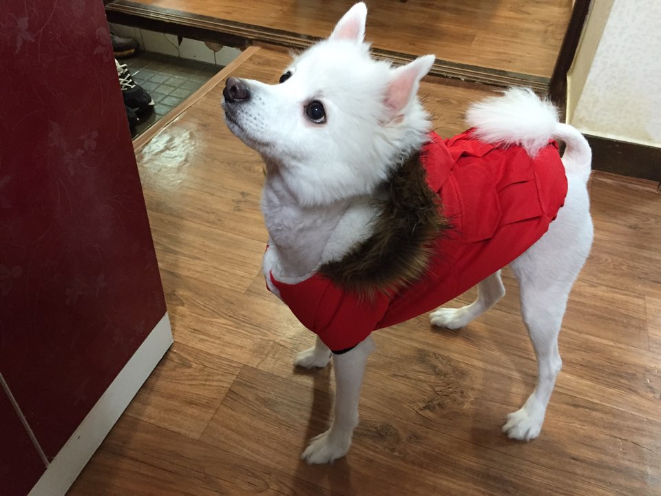 KakaoTalk_20170131_225024556.jpg