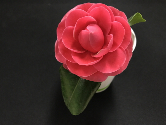 FullSizeRender.jpg