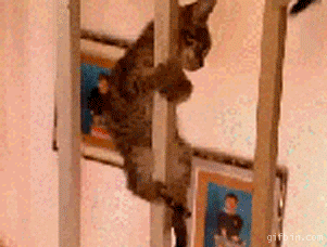 긴급출동.gif