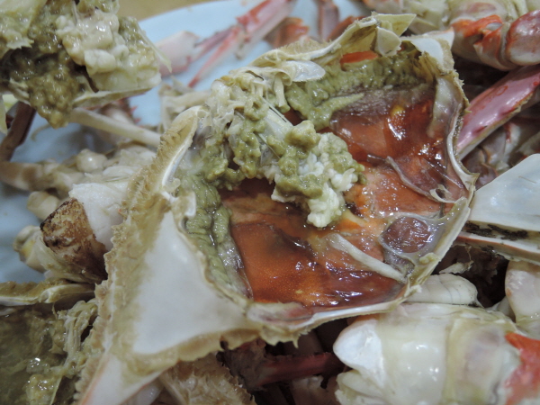 DSCN4184.JPG