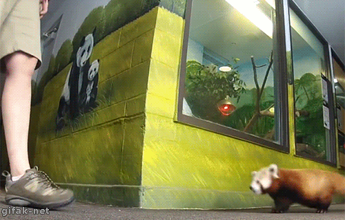 daum_gallery_photo_20150816180548.gif