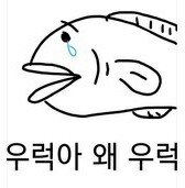 우럭.jpg