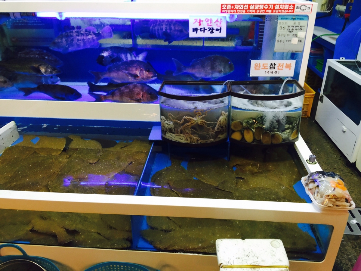 KakaoTalk_20150906_211149887.jpg