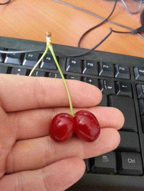 체리.jpg