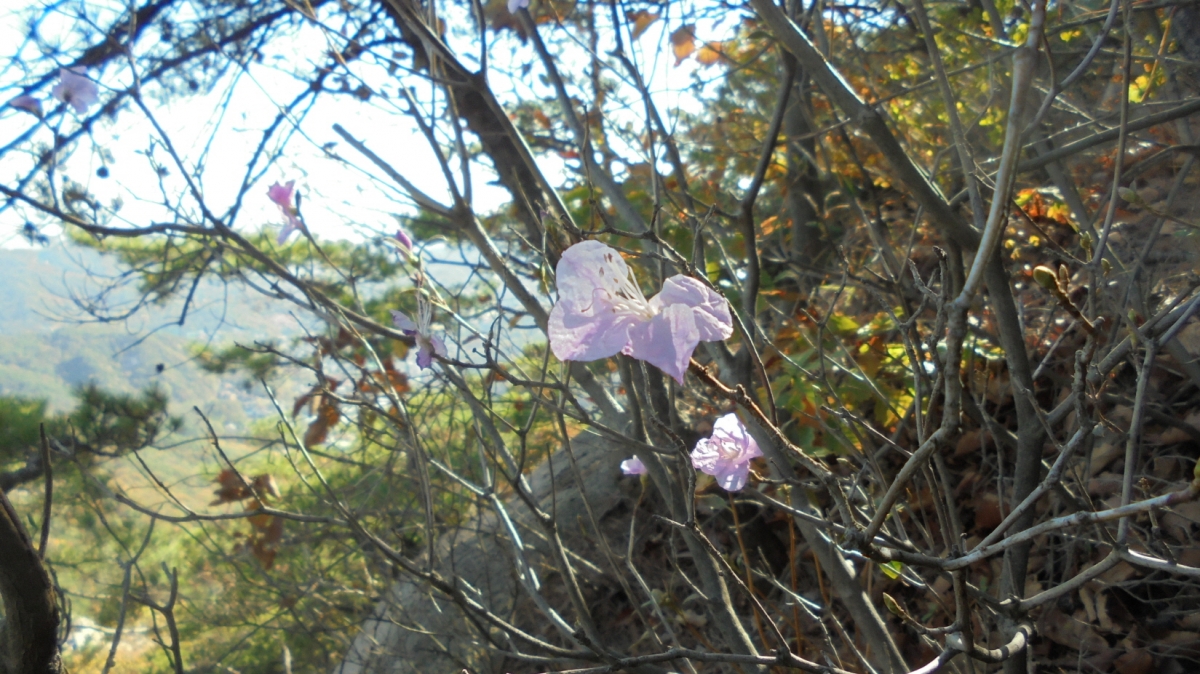 DSC00340.JPG