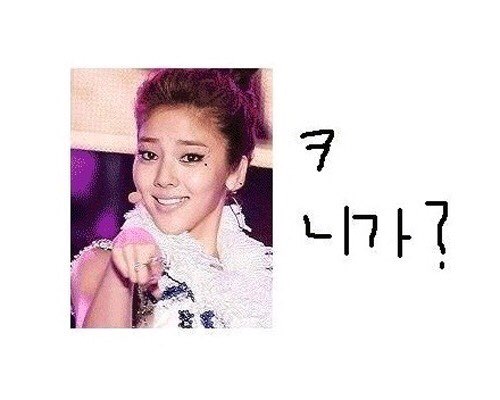 니가.jpg