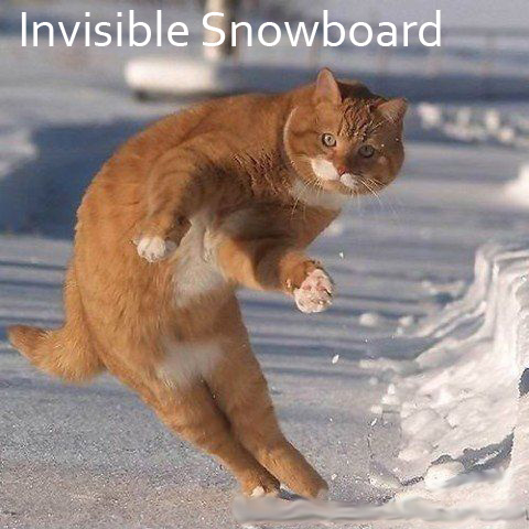 invisible_snowboard.jpg