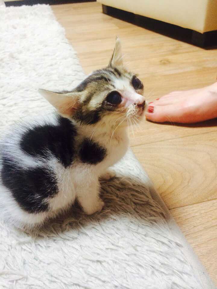 1406112414053.jpg