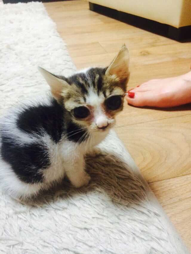 1406112407939.jpg