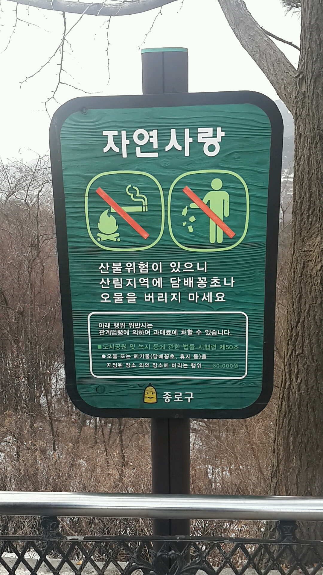 20150110_163830_269.jpg