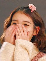 13.gif