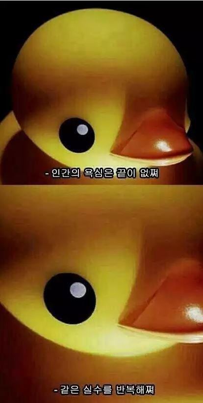 333333333.JPG