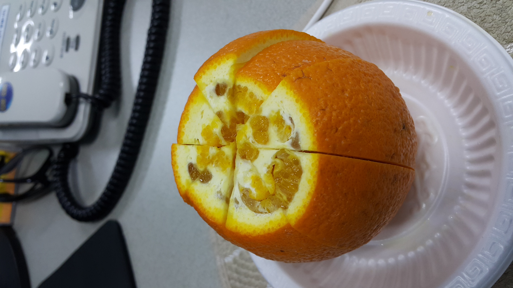 20150624_154925.jpg