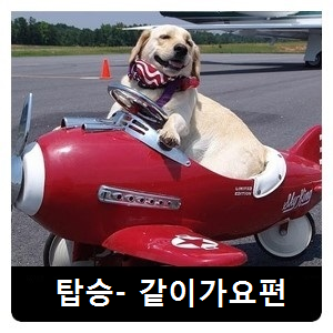 탑승-같이가요.png