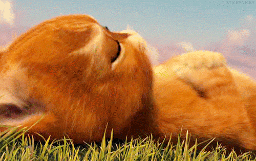 pikicast-1131001187.gif