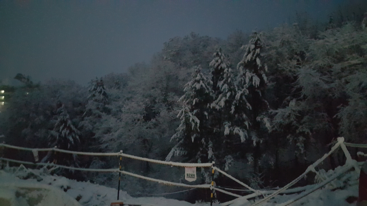 20151125_065114.jpg