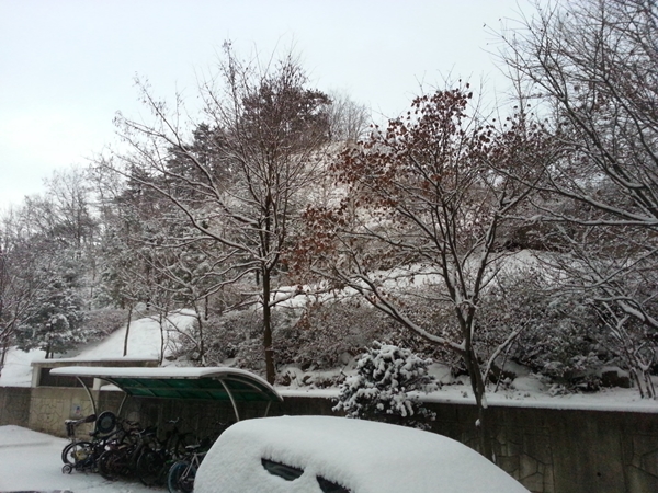 20141203_073737.jpg