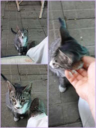 pic20130925155424.jpg