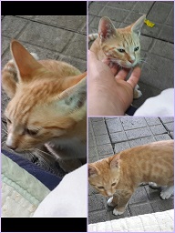 pic20130925155107.jpg