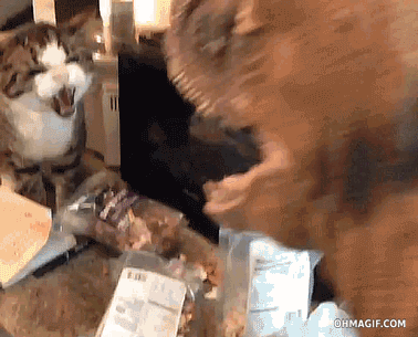460659516_90f9724a_Download_2015_03_18_07_46_15.gif