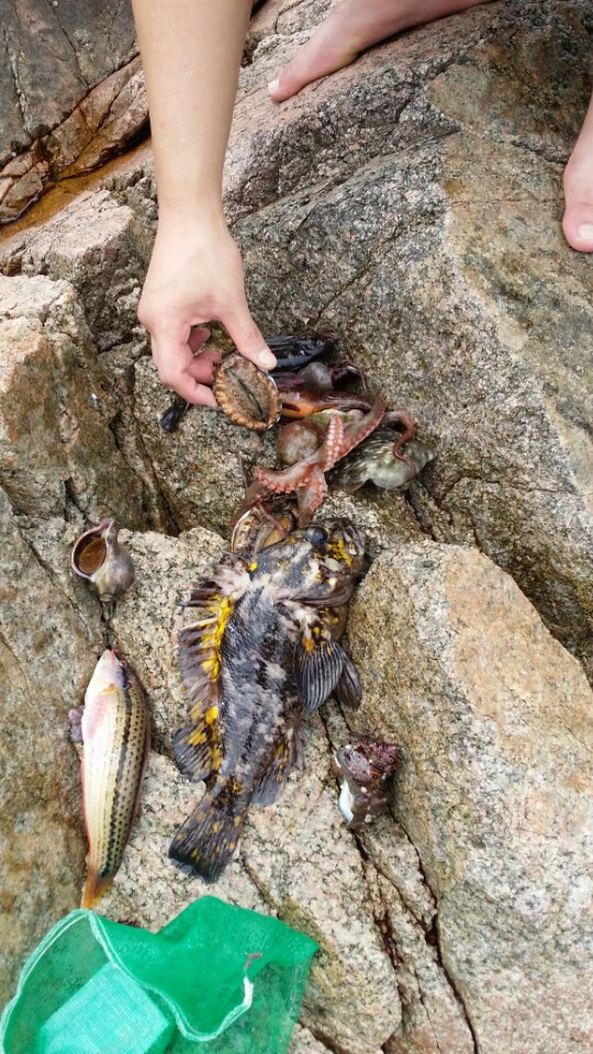 KakaoTalk_20150130_175707873.jpg