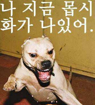 화났어.jpg