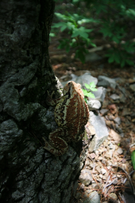 IMG_00016.JPG