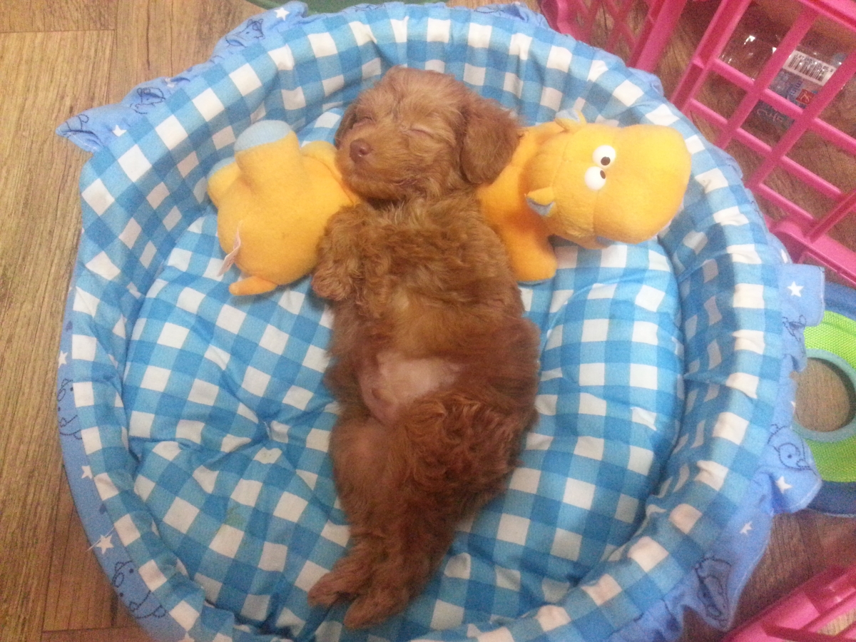 20131024_002732.jpg