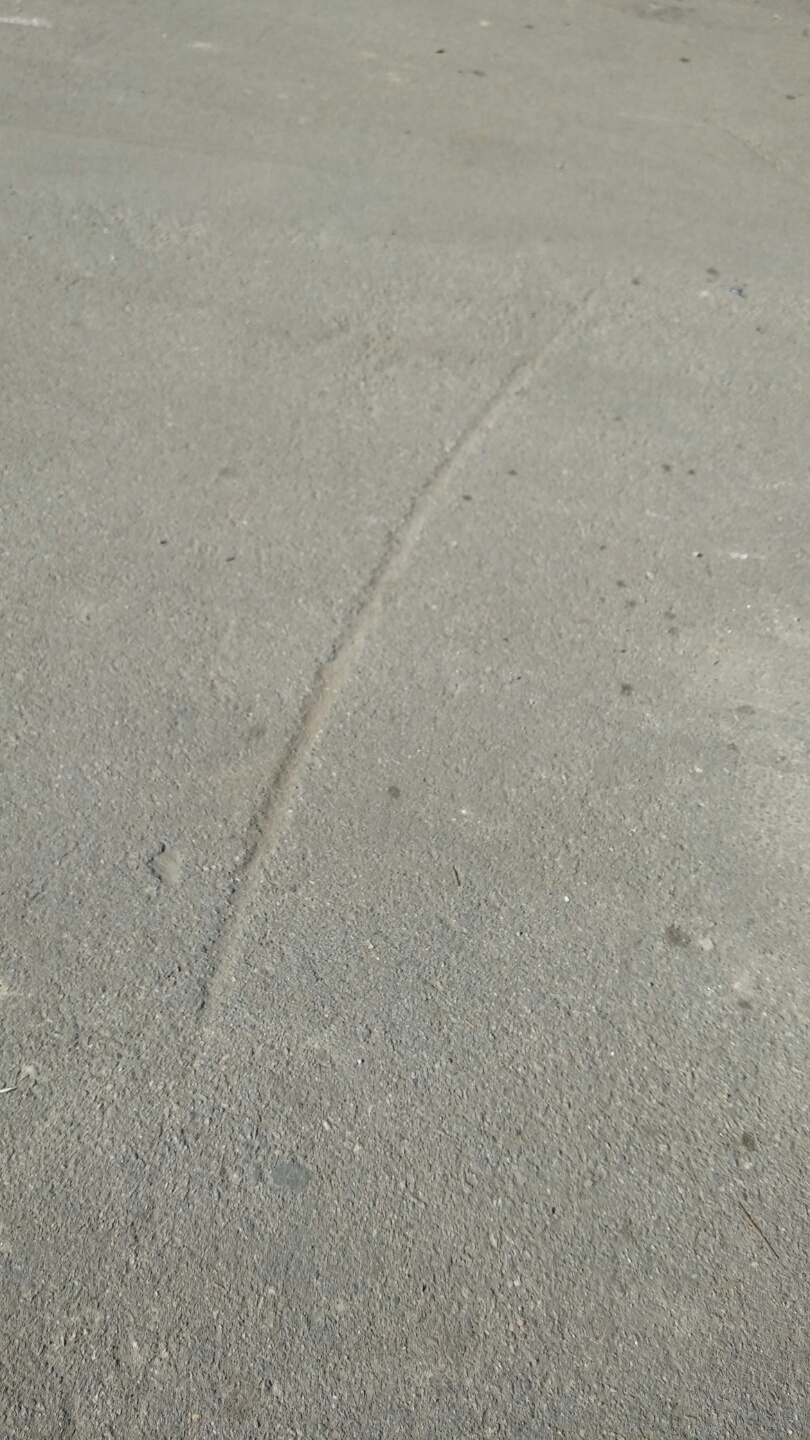 KakaoTalk_20150202_143548429.jpg