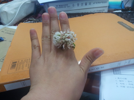 20120529_180357.jpg