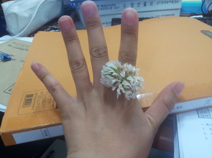 20120529_180338.jpg