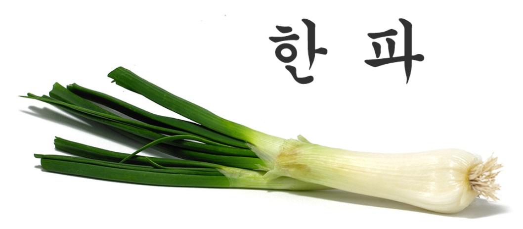 한파.jpg