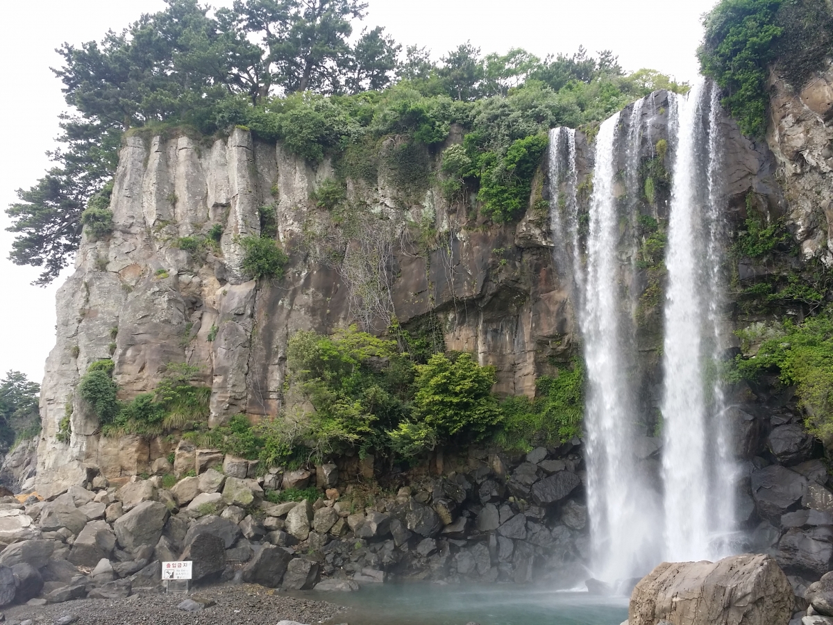 20150509_093301.jpg