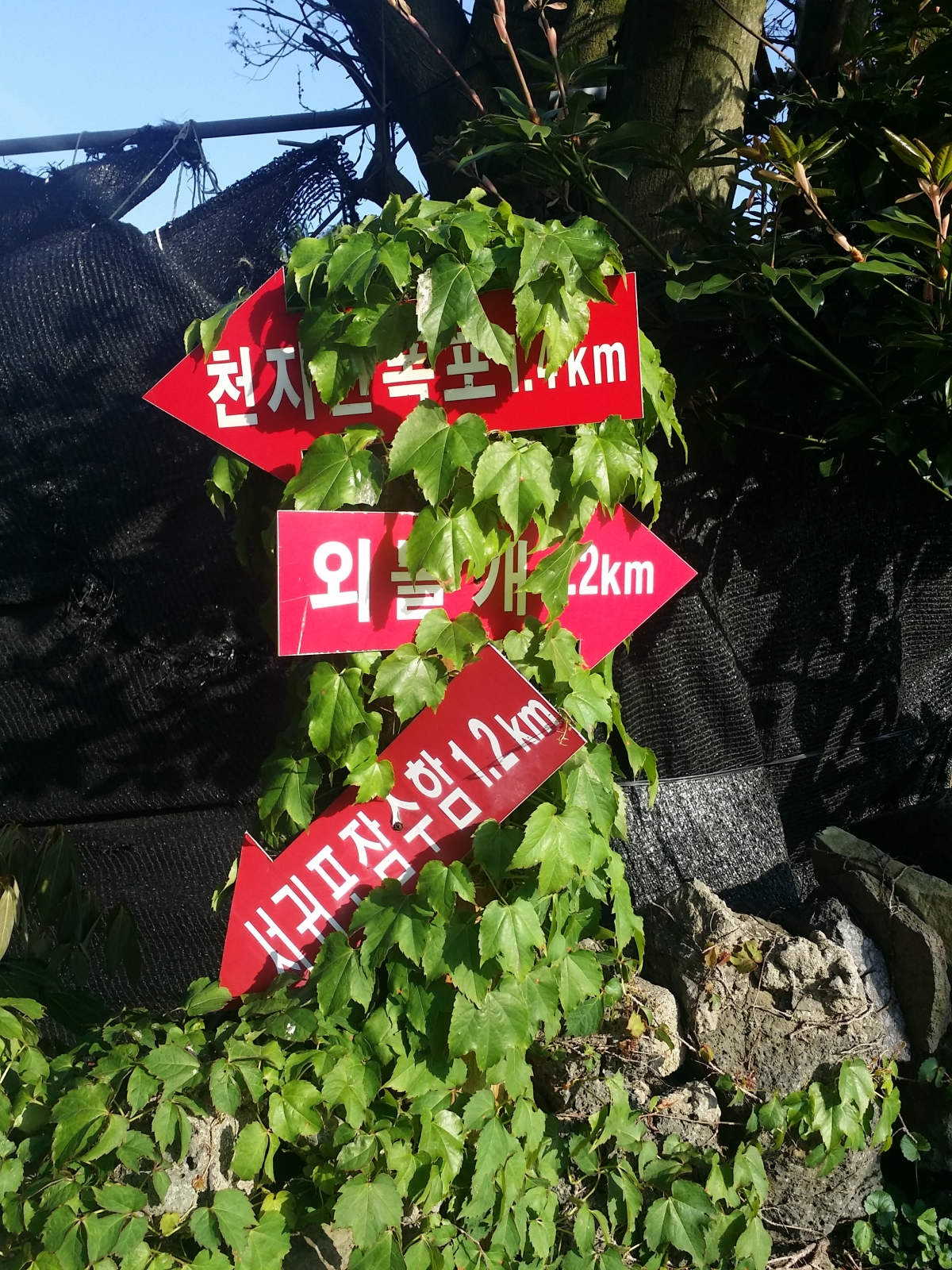 20150507_171727.jpg