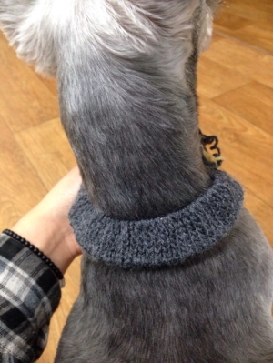 image.jpg