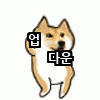 업다운.gif