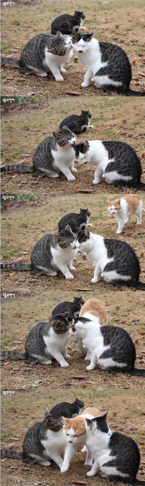 솔로의패기.jpg