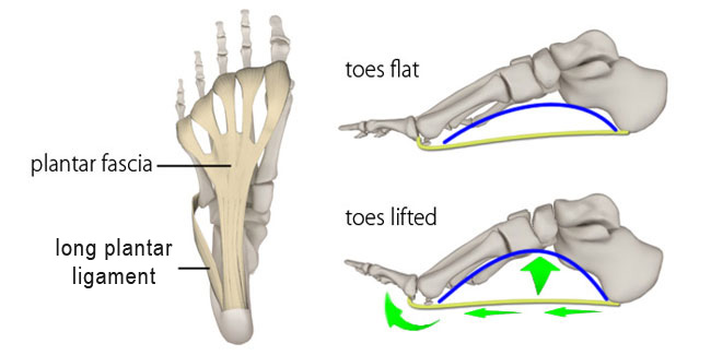 figure_02.jpg