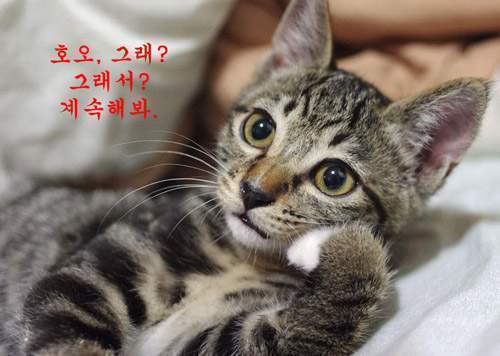 계속해봐.jpg