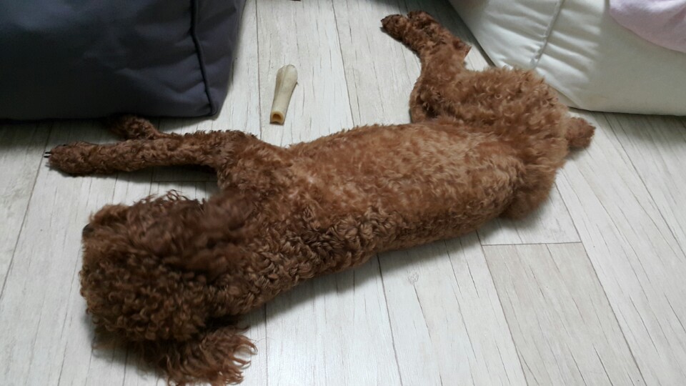 KakaoTalk_20150502_010408196.jpg