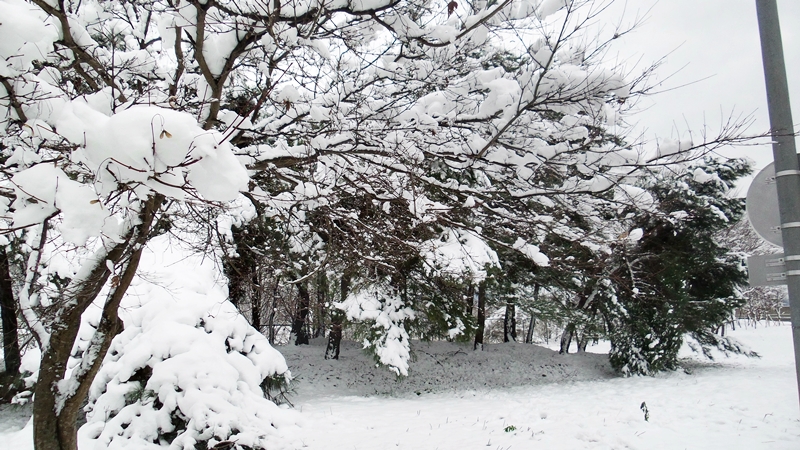 20151218_120748.jpg