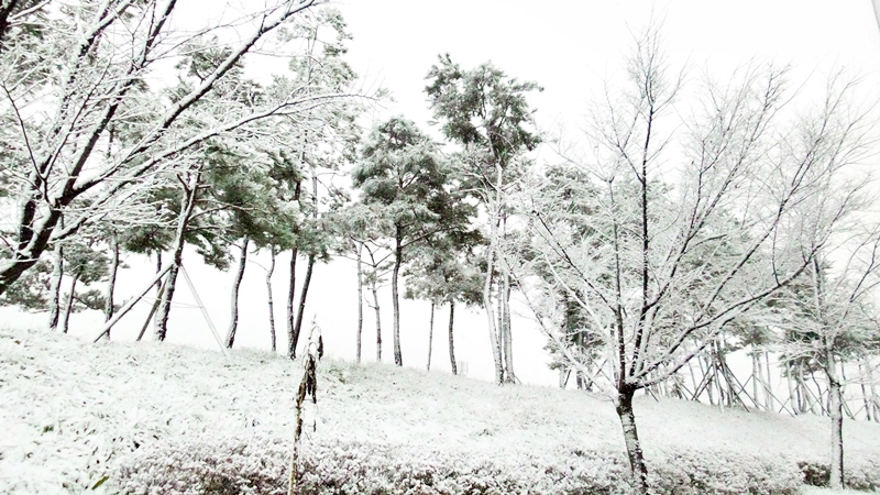 20151216_163858.jpg