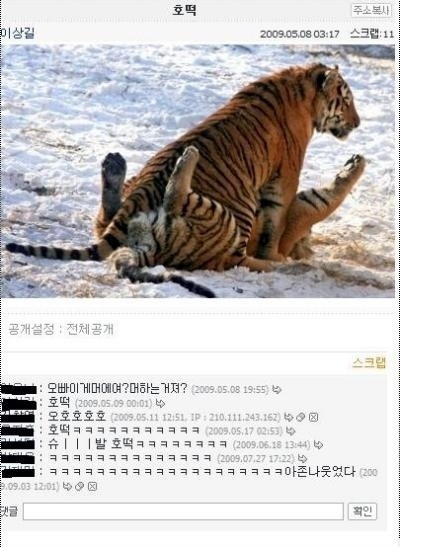 호떡.jpg